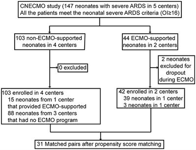 Venoarterial Extracorporeal Membrane Oxygenation for Severe Neonatal Acute Respiratory Distress Syndrome in a Developing Country